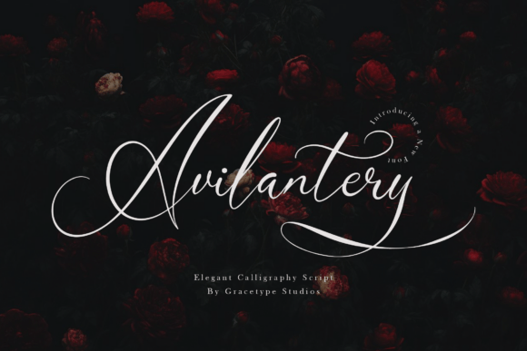 Avilantery: Elegant Calligraphy Script
